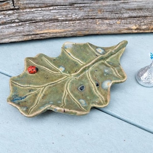 May include: A ceramic leaf-shaped dish with a mottled green glaze and raised veins. A small, red, black-spotted ladybug figurine is attached to the left side of the leaf. The dish has a glossy finish with subtle blue and white color variations.