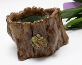 Ceramic Succulent Orchid Cactus Planter, Pottery Frog Toad Flower Pot Vase Container Fairy Garden Art, Housewarming Gardener Gift, USA Made