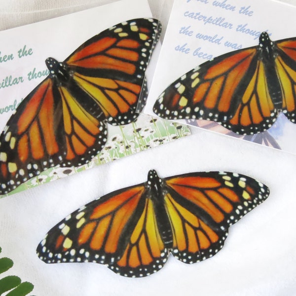 Monarch Butterfly Magnets (2) / NON-PROFIT, Spring Wedding, Cape May Monarch Migration, Nature Lover Teacher Gift, Garden Theme Party Favor