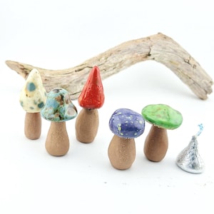 May include: Five small ceramic mushroom figurines with unglazed brown stems and glossy, multi-colored caps in cream, blue, red, purple, and green. A piece of driftwood is positioned behind the mushrooms, and a silver foil-wrapped candy sits nearby.