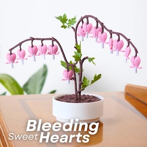Puede incluir: Una planta decorativa con flores rosas en forma de corazón y hojas verdes en una maceta blanca. La planta tiene tallos marrones y está colocada sobre una superficie de madera. El texto "Bleeding Sweet Hearts" se muestra.