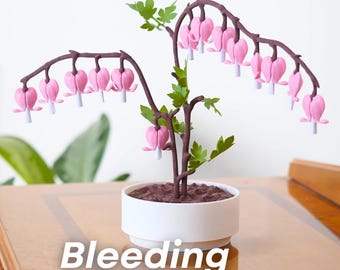 Valentinstag Geschenk Blumentopf | Dekorative Blume mit versteckten Noten | Romantische Überraschung | Schmuckkästchen