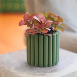 Puede incluir: Una pequeña maceta cilíndrica verde con ranuras verticales, que contiene una planta con hojas rosas y verdes. La maceta está sobre una superficie cuadrada de color claro. El fondo está borroso, con indicios de un sofá y un cojín verde con lunares.