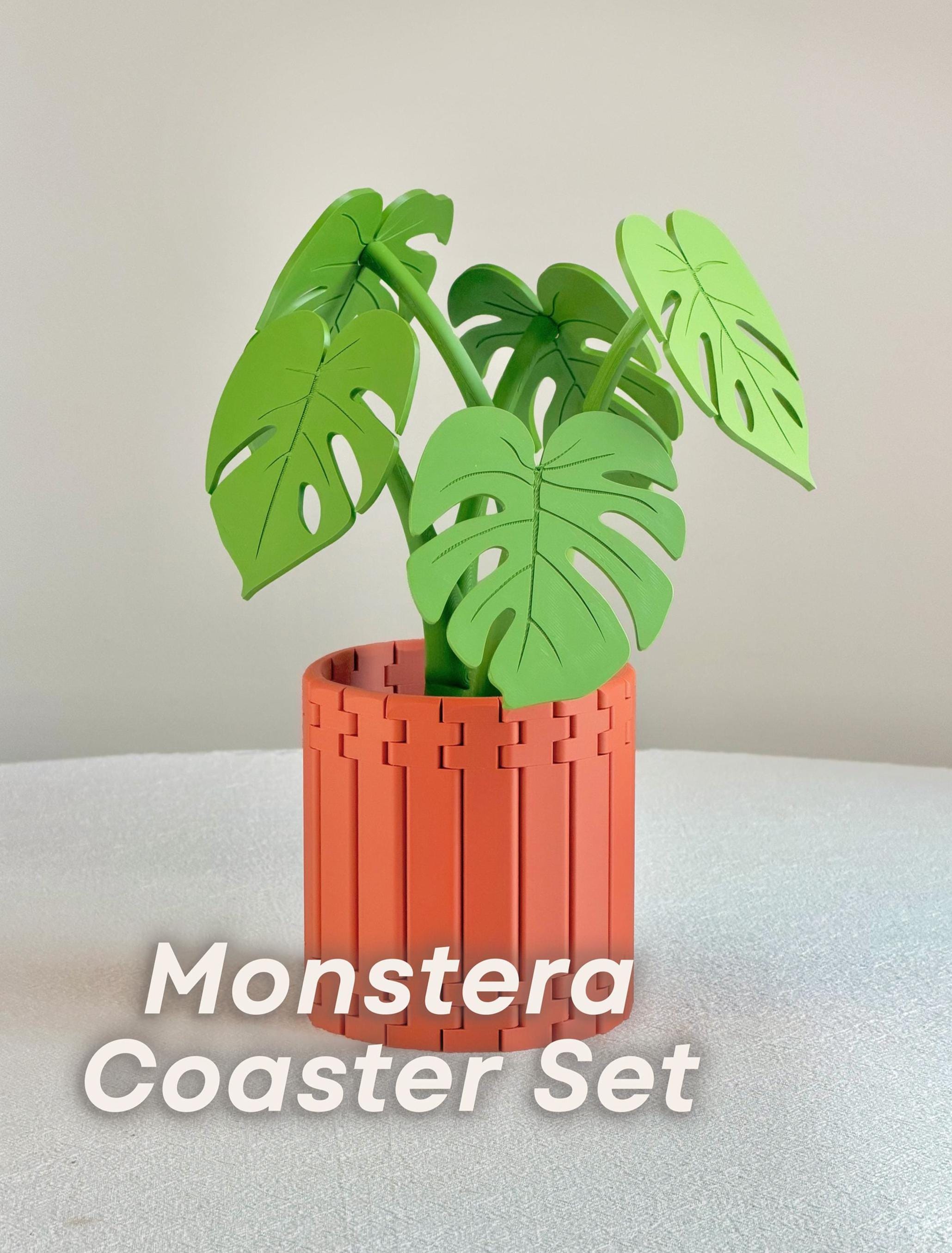 Monstera Coaster Set | Pot-style Holder | 3d Printed | Tropical