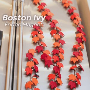 Boston Ivy Vine-magneter | Ledad 3D-tryckt kylskåpsmagnet | Modulär magnetisk växt | Botanisk heminredning | PC-hölje-dekor