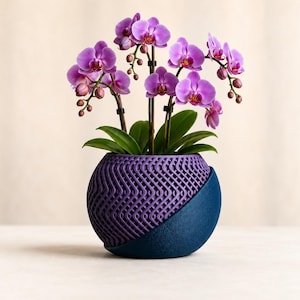 May include: A potted Phalaenopsis orchid with vibrant purple flowers and green leaves, housed in a spherical planter. The planter features a dual-texture design with a deep purple, intricate 3D-printed lattice pattern on one side and a solid dark blue finish.