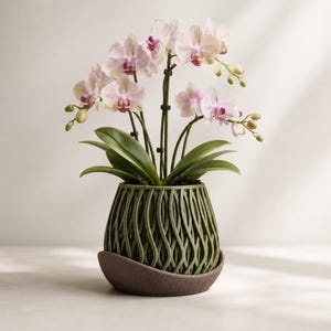 May include: A potted orchid plant with pale pink and white flowers and green leaves. The plant is housed in a sage green, lattice-patterned planter that sits inside a dark brown, curved, bowl-shaped saucer base on a flat surface.