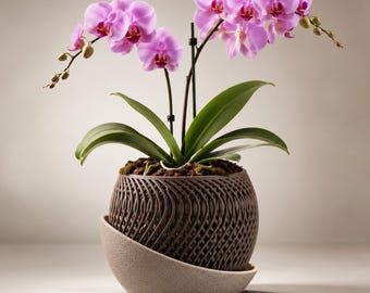 May include: A potted orchid plant with vibrant pink flowers and green leaves. The plant is housed in a dark brown, spherical, lattice-patterned pot that sits inside a smooth, light beige, curved saucer base, creating a layered appearance.