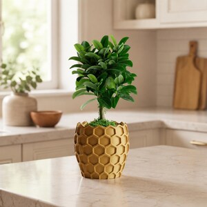 Honeycomb Planter, Modern Indoor Plant Pot, Hexagon Cachepot, Succulent Planter, Housewarming Gift