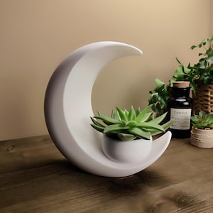 May include: A white ceramic crescent moon planter holding a small succulent plant. The planter has a smooth, curved design and a small, round pot for the plant. The succulent has green leaves. A decorative item for home decor.