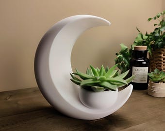 Crescent Moon Planter, Modern Succulent Pot, Minimalist Celestial Decor, Indoor Plant Holder, Desk Shelf Accent, Color Options