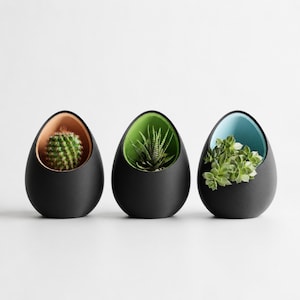 May include: Three egg-shaped planters with a matte black exterior. Each planter features a distinct interior color: terracotta, lime green, and light blue. The planters hold a small cactus, a spiky succulent, and a leafy green succulent respectively.