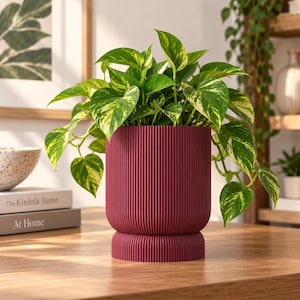 May include: A dark red cylindrical plant pot with a vertical ribbed texture and a wider, rounded base. The pot contains a lush pothos plant with variegated heart-shaped leaves in shades of green and cream, cascading over the sides of the container.