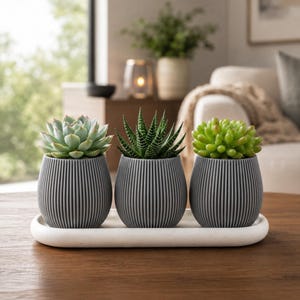 3 Pot Planter Set With Tray, Indoor Succulent Planters, Kitchen Herb Pots, Modern Windowsill Plant Decor