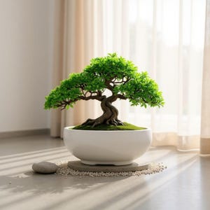 Minimalist Bonsai Planter, Modern Shallow Bowl for Succulents, Moss and Indoor Plants, Japandi & Scandinavian Home Decor