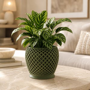 Lattice Planter with Drainage, Lagoa Geometric Plant Pot with Removable Insert, Modern Indoor Decor