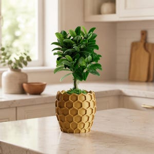 May include: A small potted plant with vibrant green leaves and a central stem, housed in a mustard yellow planter featuring a raised, repeating hexagonal honeycomb pattern across its exterior surface, sitting upright on a smooth countertop.