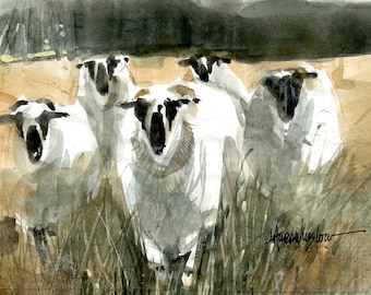 Sheep I Know - Greeting Card Collection (10 cards) - Scottish Blackface Sheep - 5x7 watercolor prints