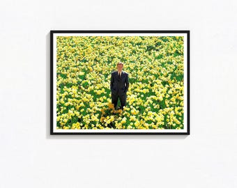 Póster de la película Big Fish, película de Tim Burton, arte mural vintage (descarga digital)