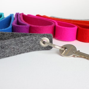 May include: A gray felt key chain with a metal ring and a silver key. The key chain is surrounded by a rainbow of felt strips in various colors, including green, blue, purple, pink, red, orange, and gray.