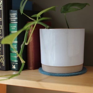 May include: A white ceramic planter with a light brown rim sits on a blue felt coaster on a wooden shelf. A green plant with large leaves is growing in the planter. The shelf is filled with books with gold lettering.