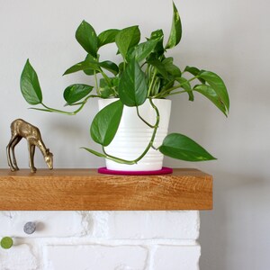 felt plant trivet
