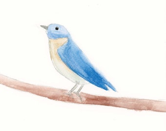 Bird Watercolor - Eastern Bluebird Art Print - Bird Illustration - Watercolor and Pencil Art - Print of Original Drawing - 8x10 inches