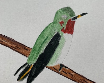 Hummingbird Art Original Drawing - Green Bird Art - Bird Illustration - watercolored Pencil and Pencil Art - Original Drawing - Kid Bird Art
