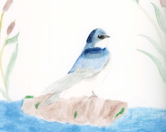 Vogel Aquarell - Schwalbe Kunstdruck - Vogel Illustration - Aquarell und Bleistift Kunst - Originale Zeichnung - 20x25 cm