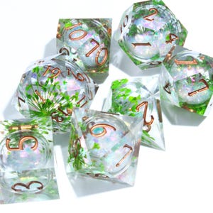 Può includere: Set di sette dadi trasparenti a più facce con numeri color rame. Ogni dado presenta un design botanico in miniatura con foglie verdi e glitter iridescenti. Adatto per giochi da tavolo.