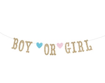 Boy or Girl Glitter Banner for Baby Shower, Gender Reveal Party, Photo Prop Banner