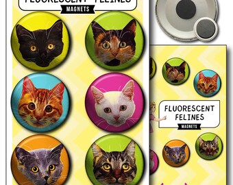 Fluorescent Felines (6-Pack) – Magnets