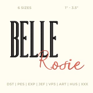 Geteilte Monogramm-Stickerei-Schriftart SX-Format, Signatur Name Stickerei Alphabet, Benutzerdefinierte Monogramm-Buchstabenschrift, Maschinenschrift Download