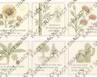 Snacks met botanische weetjes: educatieve kaarten voor kinderen (digitale download)