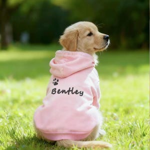 Personalized Embroidered Hoodie: Custom Pet Name, Sports Hoodie for Dogs of All Sizes