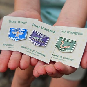 May include: Three enamel bug badges are held in a person's hands. The badges feature a fruit fly, praying mantis, and earthworm. Each badge is on a card that says "Bug Badges" and "Explore & Collect bugbadges.com".