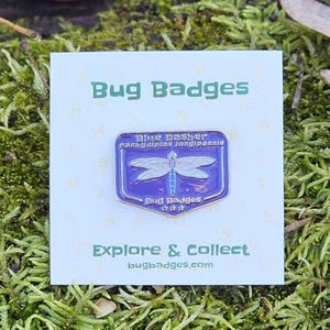 May include: A blue and silver dragonfly enamel pin on a white card with the text "Bug Badges" and "Explore & Collect". The pin features the words "Blue Dasher" and "Pachydiplax longipennis".