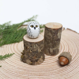 Snowy Owl and tree stump image 1