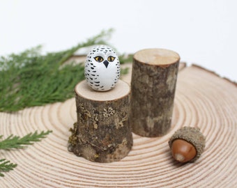 Snowy Owl and tree stump