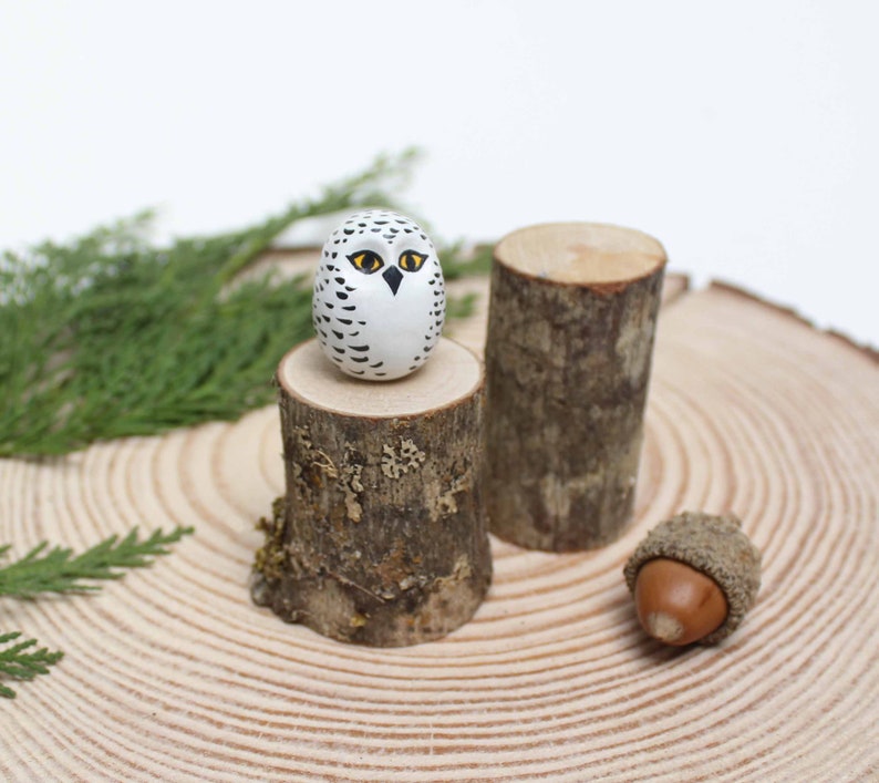 Snowy Owl and tree stump image 1