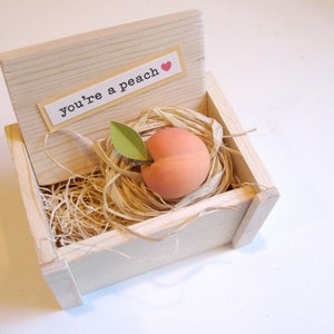 You're a Peach...thank-you, you're sweet/kind/nice, admirer gift image 3