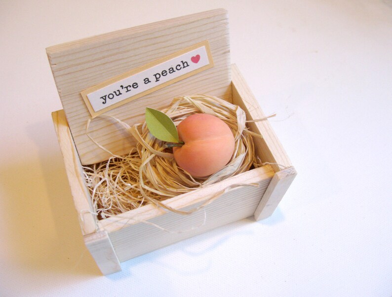 You're a Peach...thank-you, you're sweet/kind/nice, admirer gift image 3