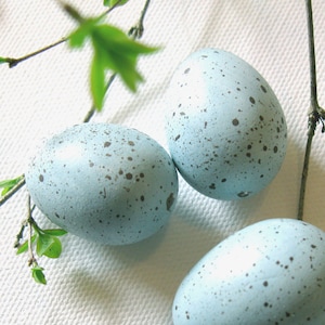 Robin eggs, bird eggs, spring decor image 3