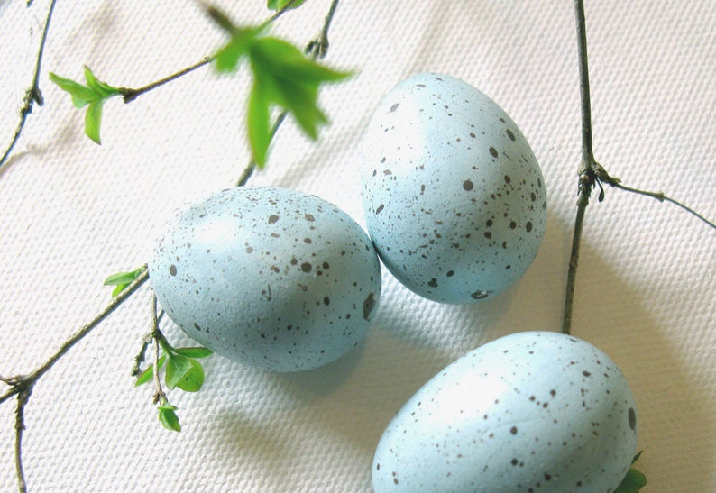 Robin eggs, bird eggs, spring decor image 3