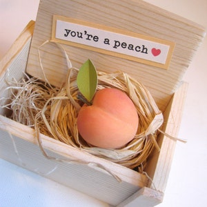 You're a Peach...thank-you, you're sweet/kind/nice, admirer gift image 1