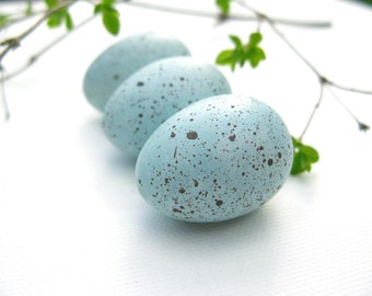 Robin eggs, bird eggs, spring decor