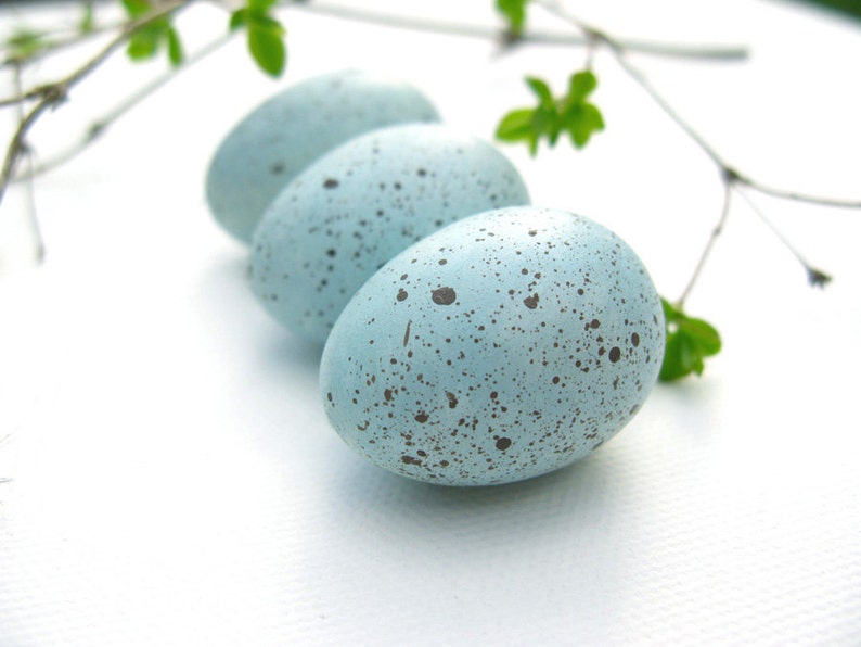 Robin eggs, bird eggs, spring decor image 1