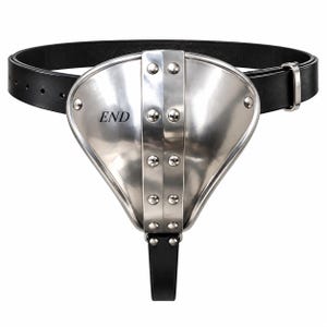 May include: A black leather belt attached to a triangular, polished silver-tone metal shield. The metal plate features a central vertical strip secured with eight rivets and the word END printed in black on the left side of the shield.