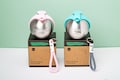 Portable Pet Water Bottle | 2-in-1 Food Dispenser for Dogs Cats, Travel Outdoor Cup product logo