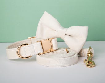 Afneembare fluwelen gouden hondenhalsband riem strik Dagelijks cadeau voor kleine hondenbezitters